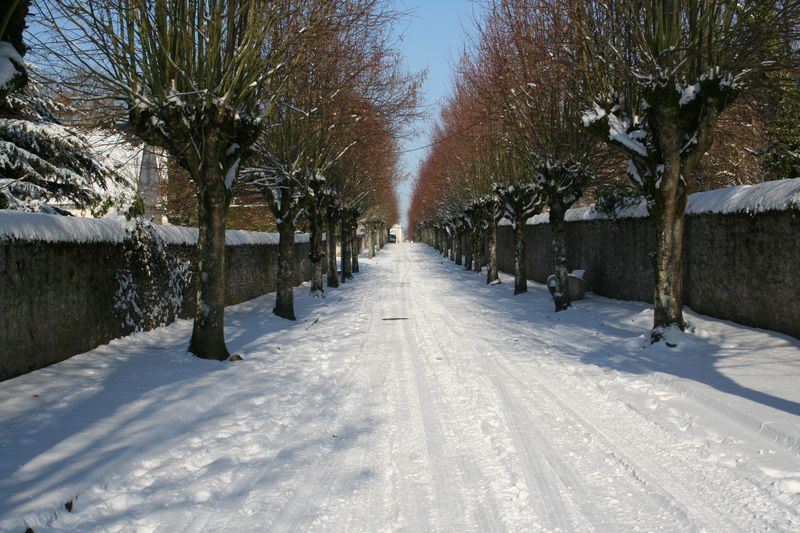 Rue de la Loire en hiver